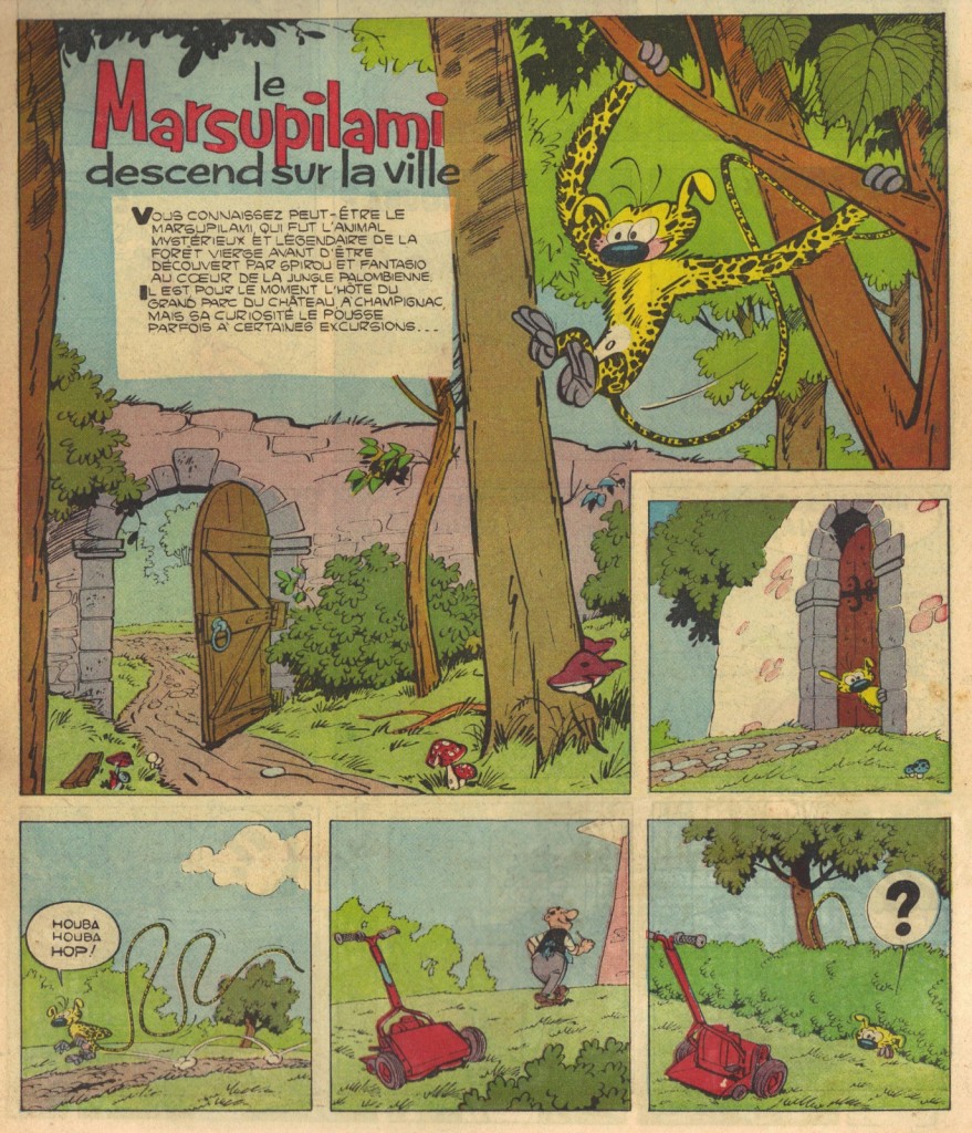 726892Lemarsupilamidescendsurlaville1Risquetout3du8dcembre1955 La première histoire du Marsupilami, en tant que héros à part entière, dans le n° 3 de Risque-Tout, daté du 8 décembre 1955.