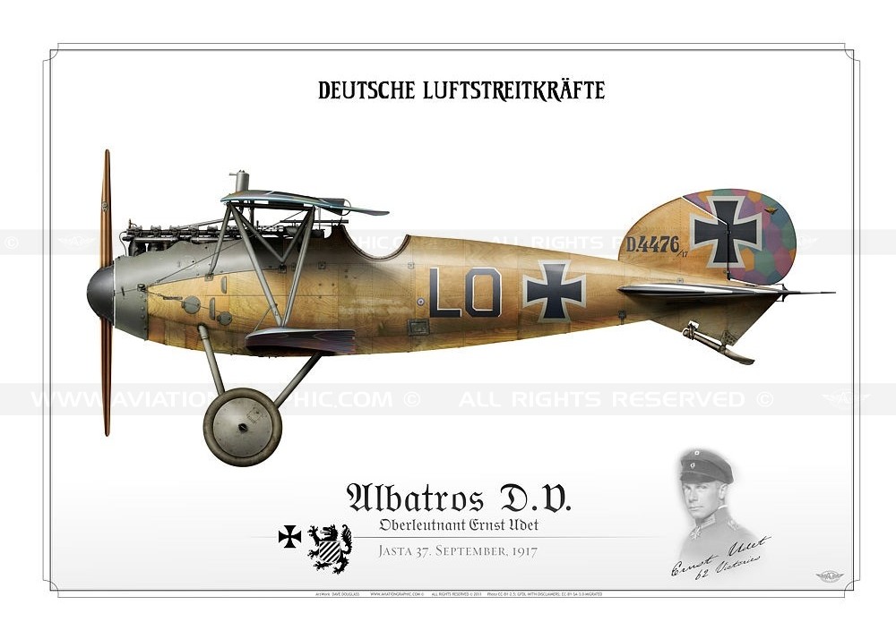 Détails du biplan Albatros D.V., avion de chasse allemand.