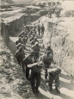 Détenus attelés à un wagonnet sur un chantier de terrassement du camp de Mauthausen. Photographie SS prise en 1942
