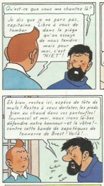 « Tintin et les Picaros » page 11.