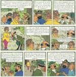 « Tintin et les Picaros » page 41.