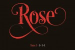 Rose T 3 logo