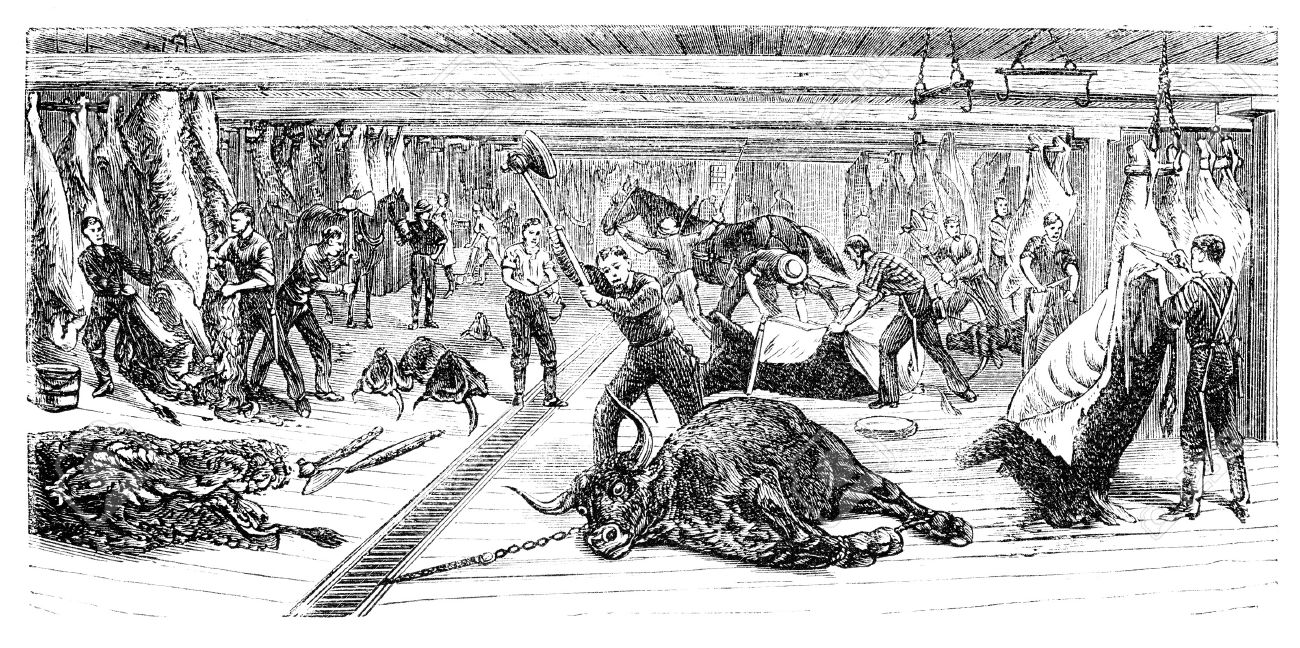 Un abattoir de Chicago. Illustration d'Ernst von Hesse-Wartegg en 1880.
