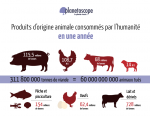consommation-mondiale-viande