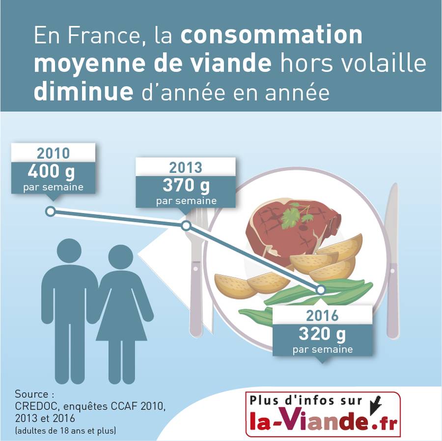 infographie-nutrition-interbev-constommation-moyenne-vanses-01